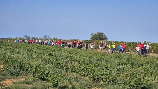 Pohod na Frušku goru, IZVOR: HPD Cibalia