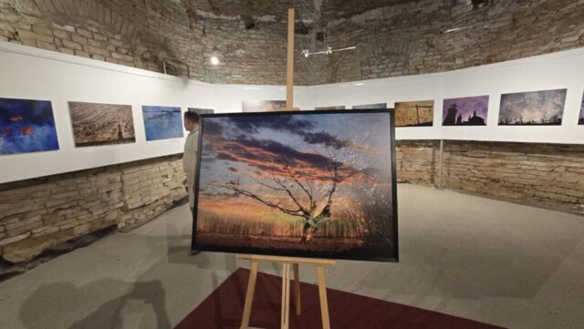 FOTO: Helena Valentić