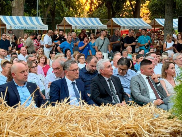 IZVOR: Vukovarsko-srijemska županija